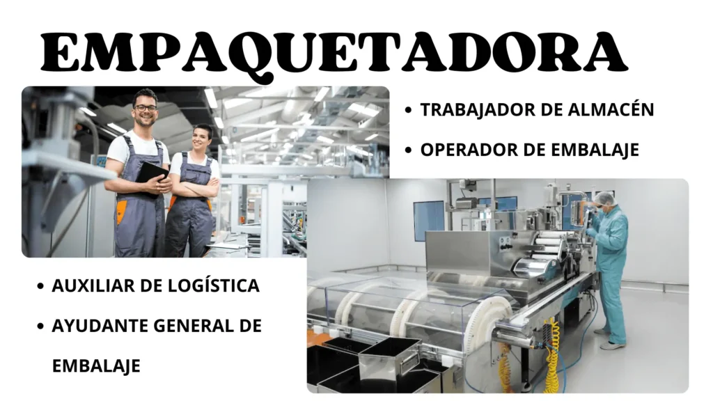 EMPAQUETADORA (3)
