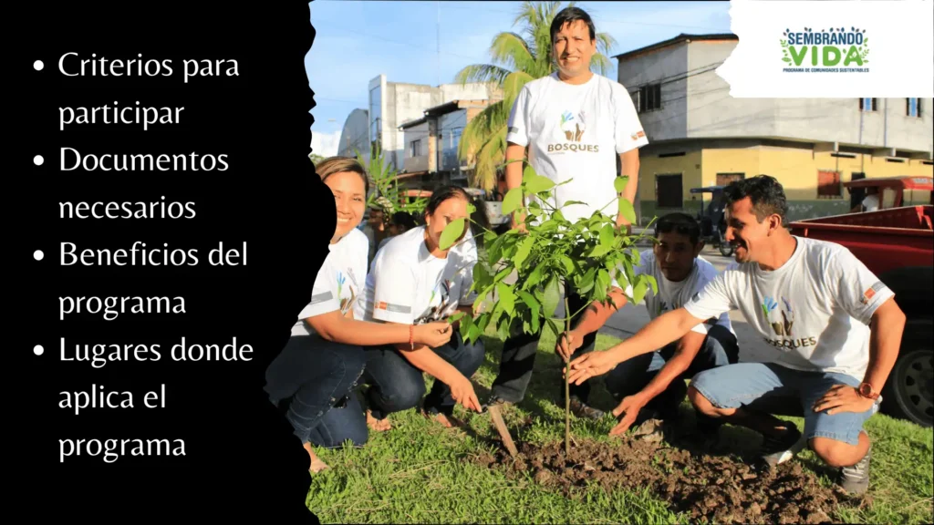 SEMBRANDO VIDA